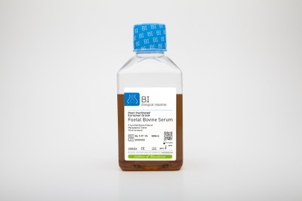 heat inactivated fetal bovine serum, European grade
