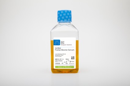 Certified Fetal Bovine Serum (FBS)